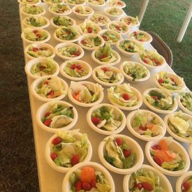 WEB-Salad